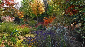 Bunter Herbstgarten