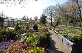 Overzicht plantencentrum