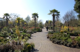 Overzicht plantencentrum 2