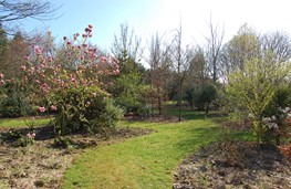 Park Plantencentrum Louis Venhorst