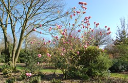 Park Plantencentrum Louis Venhorst 2