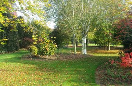 Herfst 3
