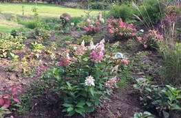 Park Plantencentrum Louis Venhorst 6