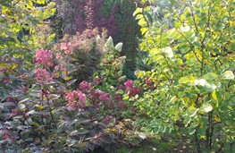 Park Plantencentrum Louis Venhorst 8