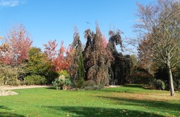 Herfst 4