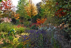 Bunter Herbstgarten
